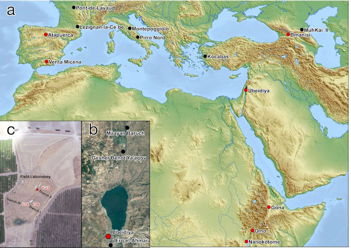 1,5-Million-Year-Old Hominin Fossil Reveals Missing Link In Human Evolution