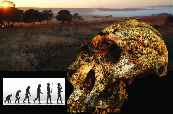 Fossil Of Extinct Human Species Shows Climate Change Contributed To Evolution And Anatomical Changes 2 Million Years Ago