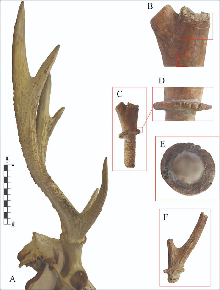 2,000-Year-Old Stringed Instrument Found In Vietnam