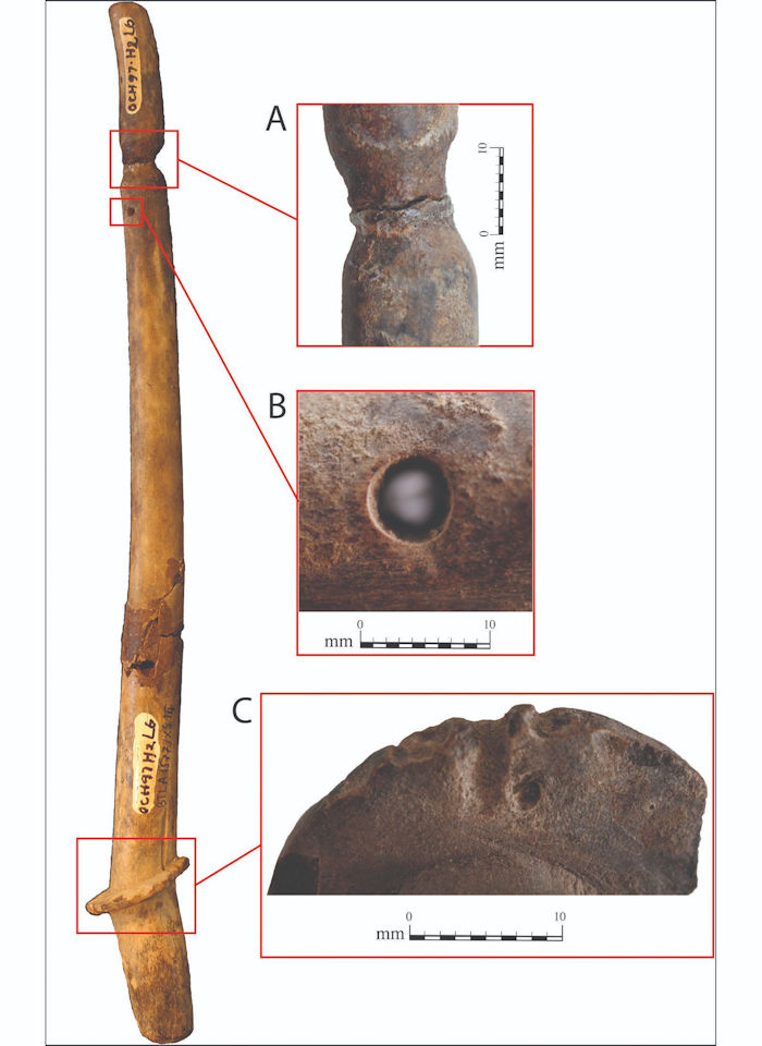 2,000-Year-Old Stringed Instrument Found In Vietnam