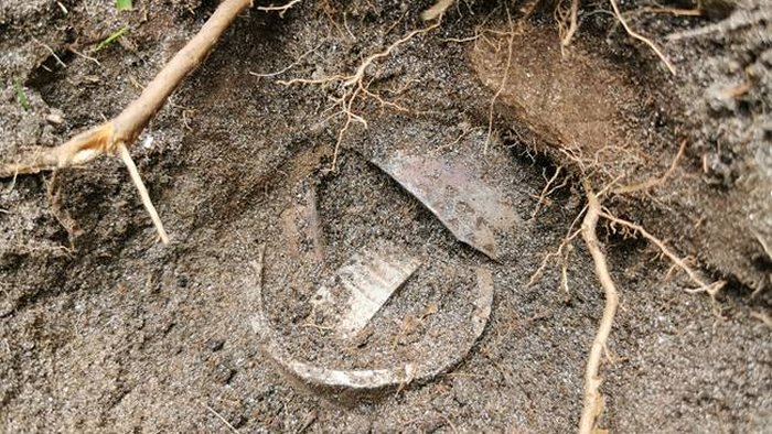 Magnificent Large Viking Age Silver Treasure Found By Metal Detectorist On Engeløya, Norway