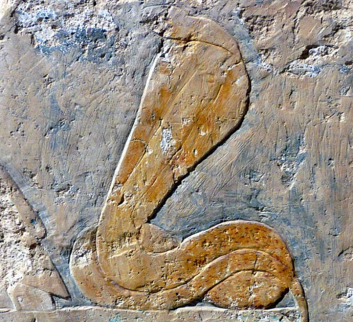 Image of Wadjet at Deir el-Bahri Temple