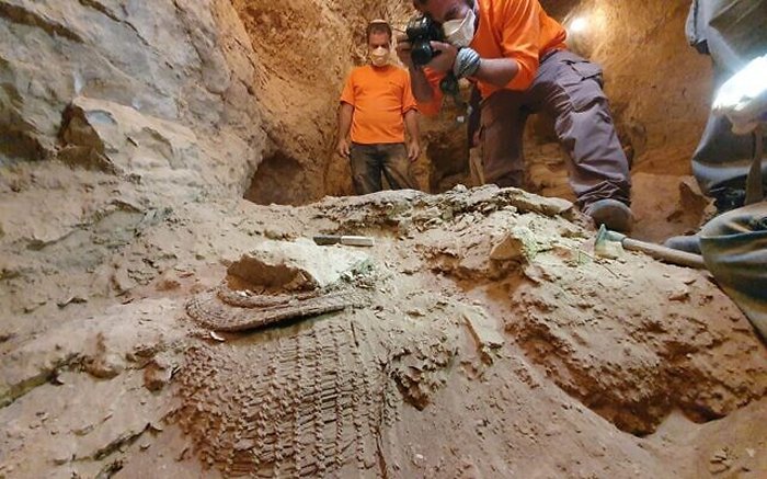 World's oldest basket found in Israel