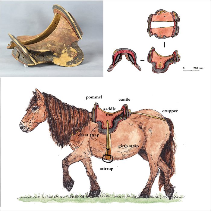 World's Oldest Known 'True' Saddle Discovered In East Asia