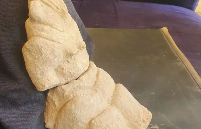 8,000-Year-Old Yarmukian 'Mother Goddess' Figurine Discovered In Israel