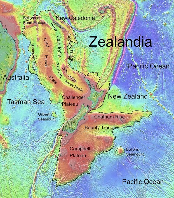 Remarkably Intact Fossil Species Suggests Tropicbirds Originated In Zealandia